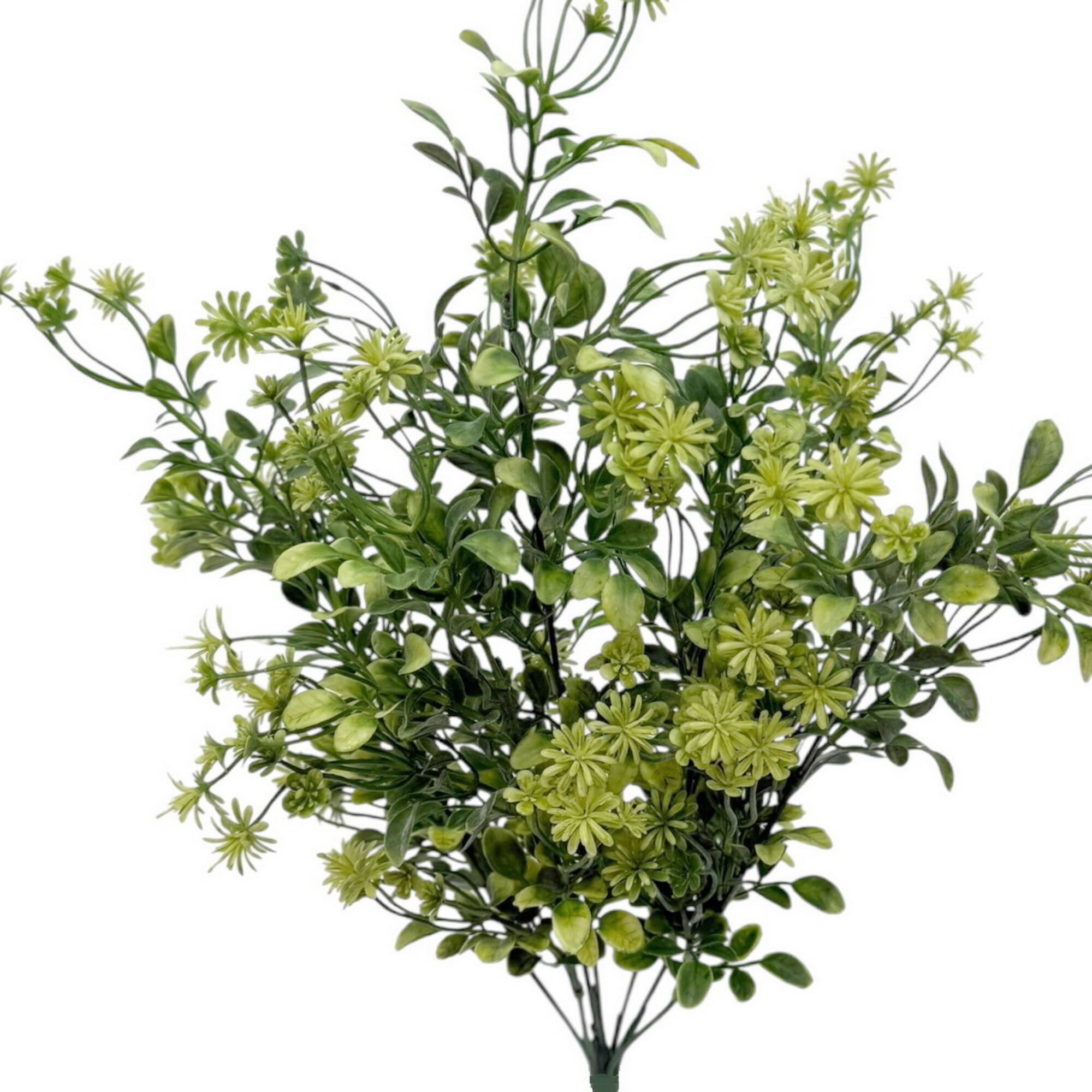 20.25" Blossom Boxwood Bush by Ashland®